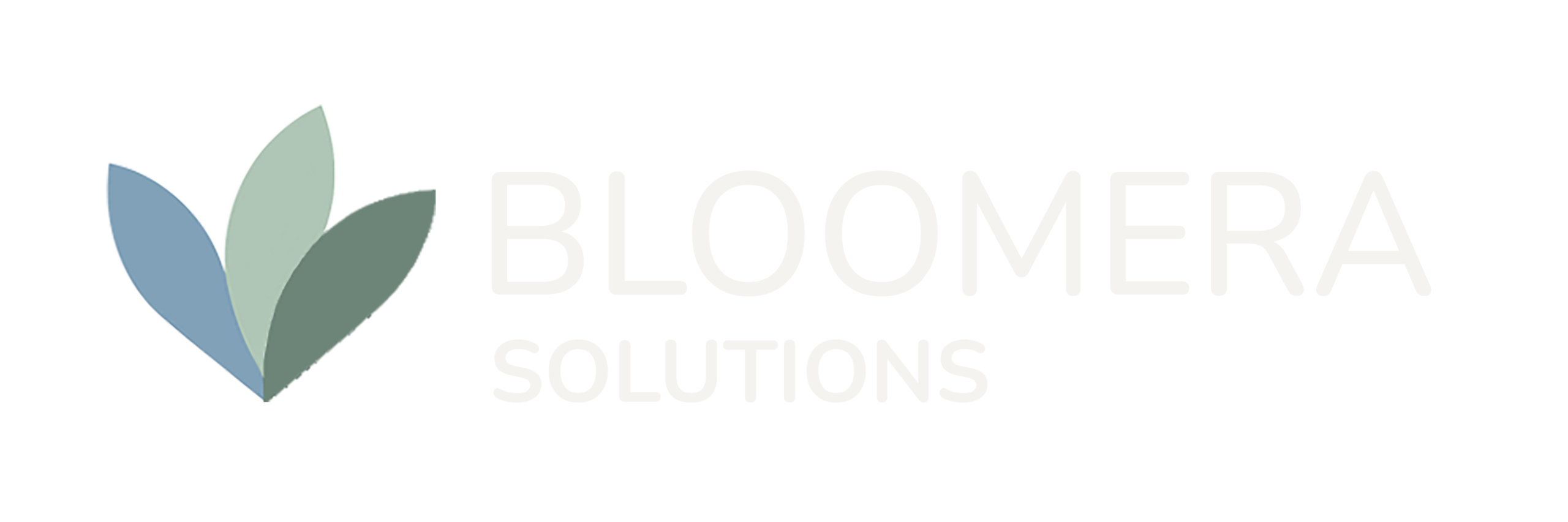 Bloomera Solutions